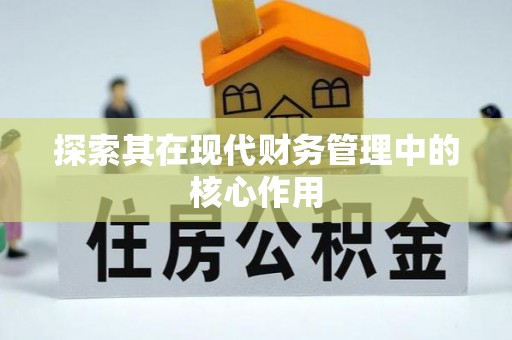 莎车探索其在现代财务管理中的核心作用