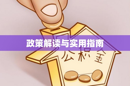 莎车政策解读与实用指南