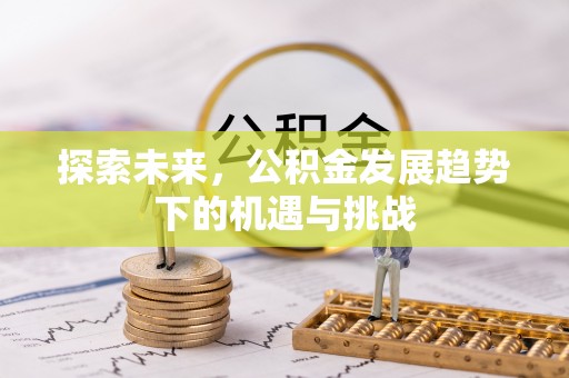 莎车探索未来，公积金发展趋势下的机遇与挑战