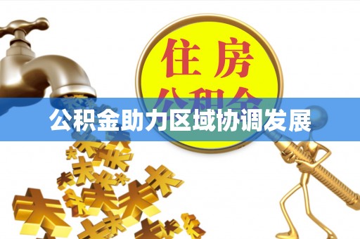 莎车公积金助力区域协调发展