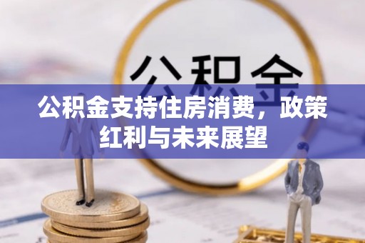 莎车公积金支持住房消费，政策红利与未来展望