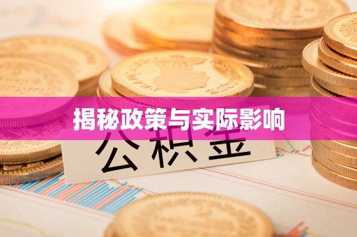 莎车揭秘政策与实际影响