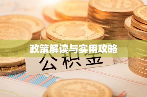 莎车政策解读与实用攻略
