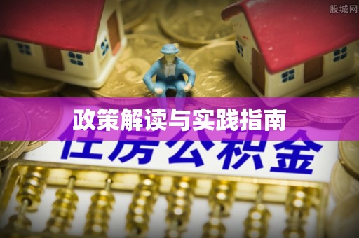 莎车政策解读与实践指南