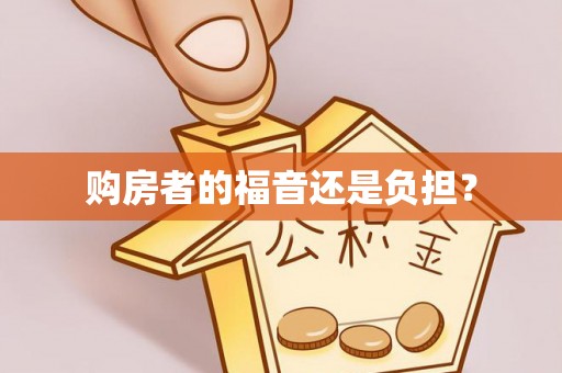 莎车购房者的福音还是负担？