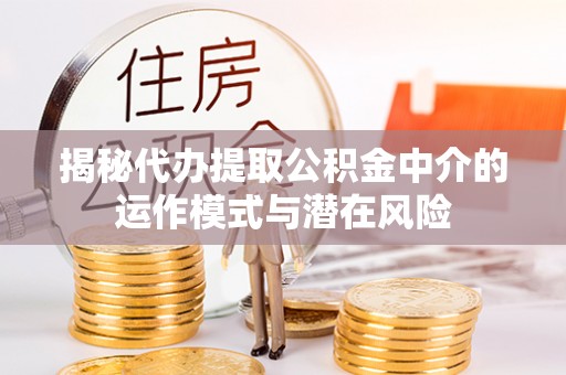 莎车揭秘代办提取公积金中介的运作模式与潜在风险