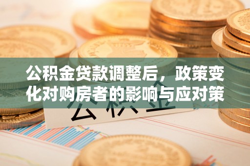 莎车公积金贷款调整后，政策变化对购房者的影响与应对策略