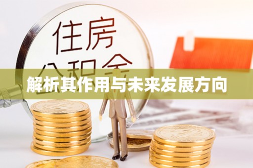 莎车解析其作用与未来发展方向