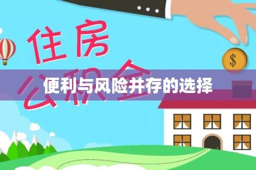莎车便利与风险并存的选择