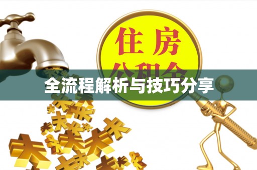 莎车全流程解析与技巧分享